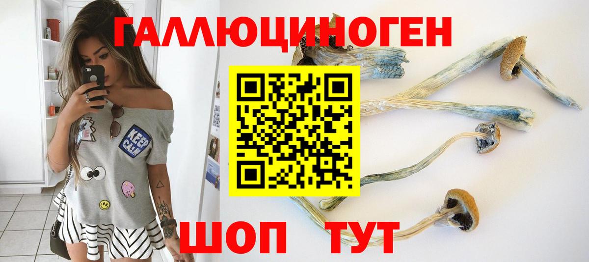 Галлюциногенные грибы Psilocybe  Вход с VPN  Горячий Ключ 